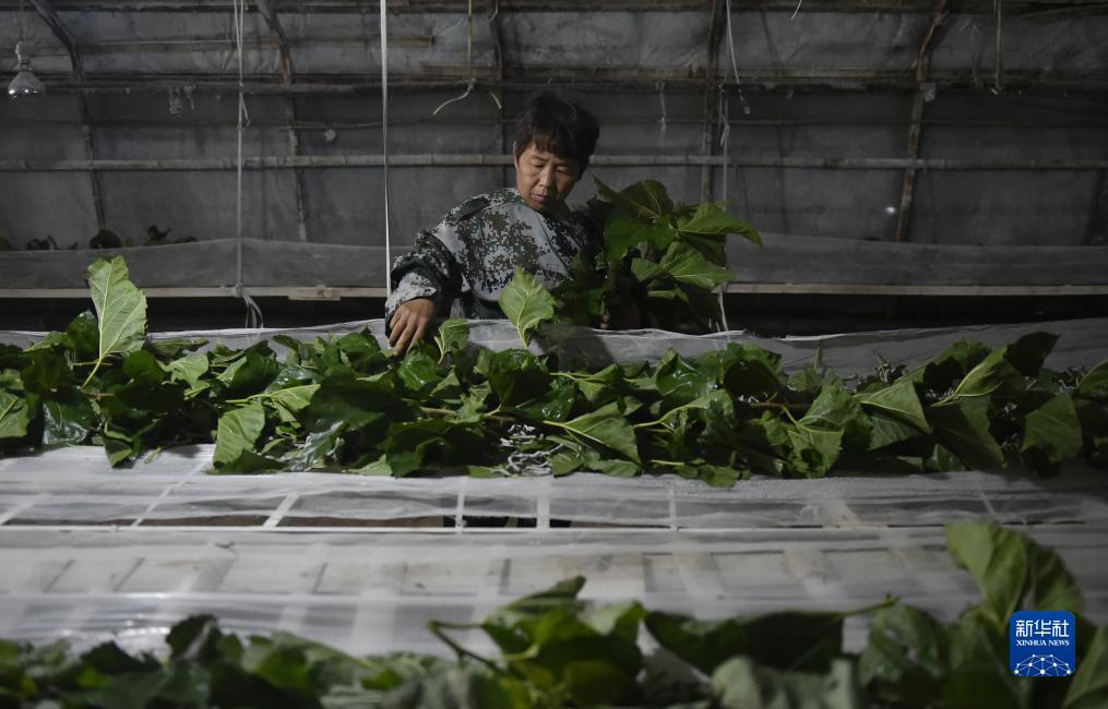 天狮官方网站卓越卡登录